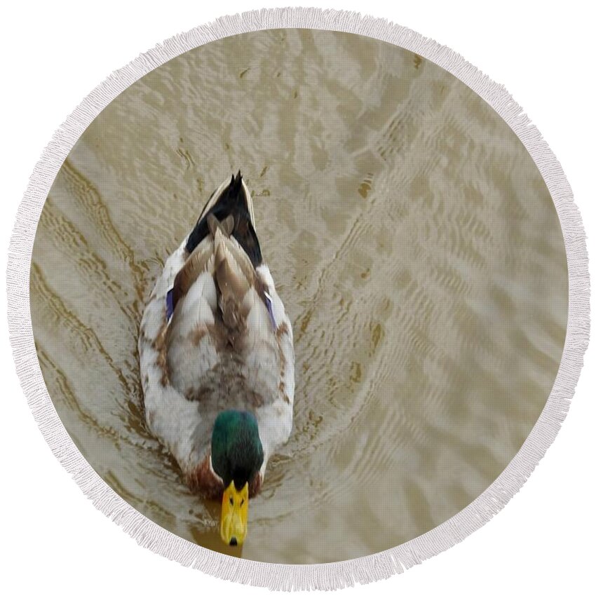 Duck Design Round Beach Towel featuring the photograph Duck Design by Kathy Chism