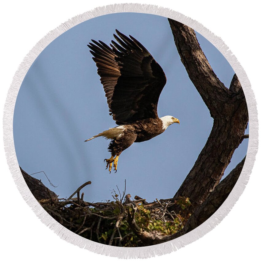 Nest Round Beach Towel featuring the photograph Eagle 2020-12 by Les Greenwood