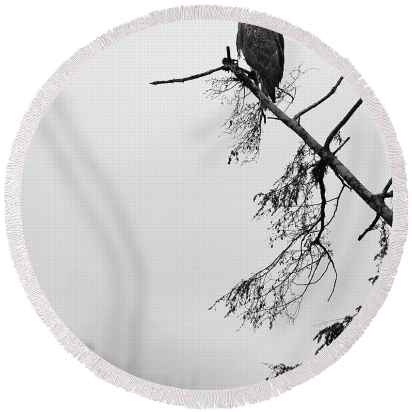  Round Beach Towel featuring the photograph Eagle Black and White by Michael Rauwolf