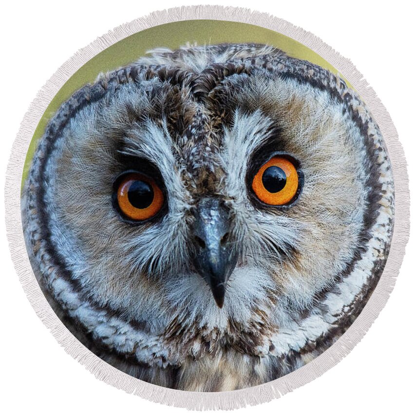 Eagle Owl Round Beach Towel featuring the photograph Eagle Owl by Gareth Parkes