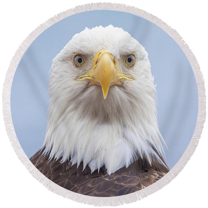 Eagle Round Beach Towel featuring the photograph Eagle Stare by Michael Rauwolf