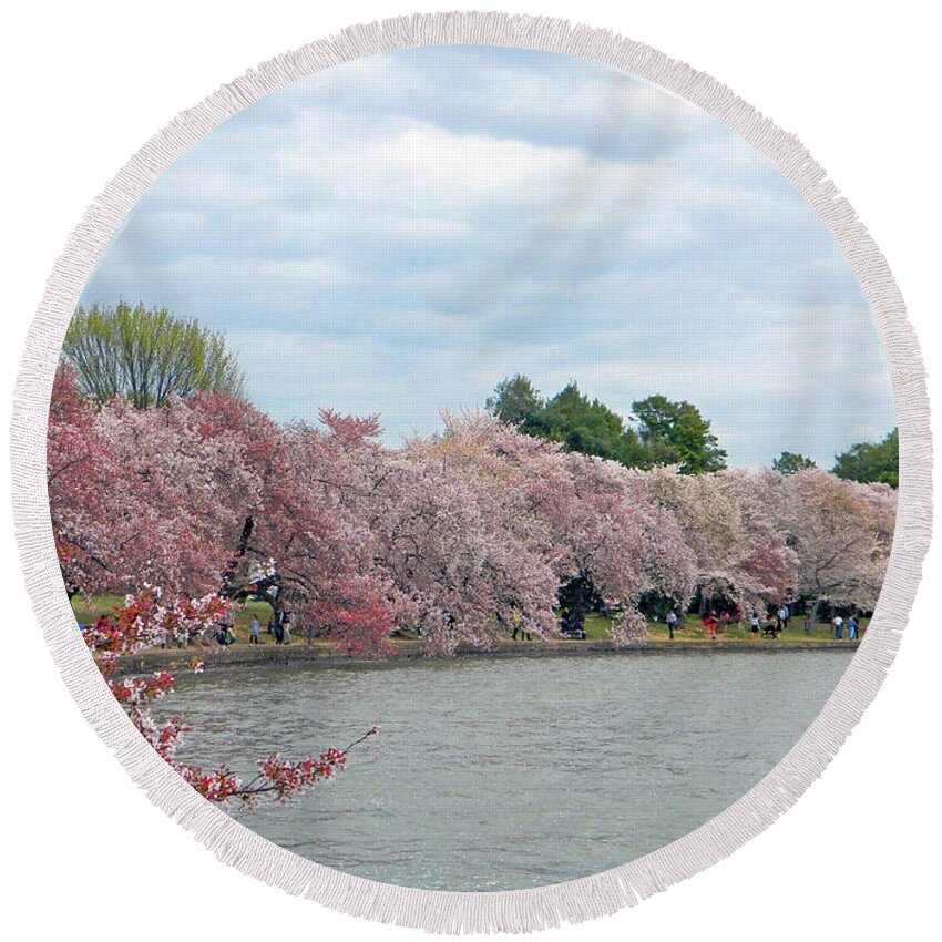 Tidal Basin Round Beach Towel featuring the photograph Early Arrival Of The Japanese Cherry Blossoms 2016 by Emmy Marie Vickers