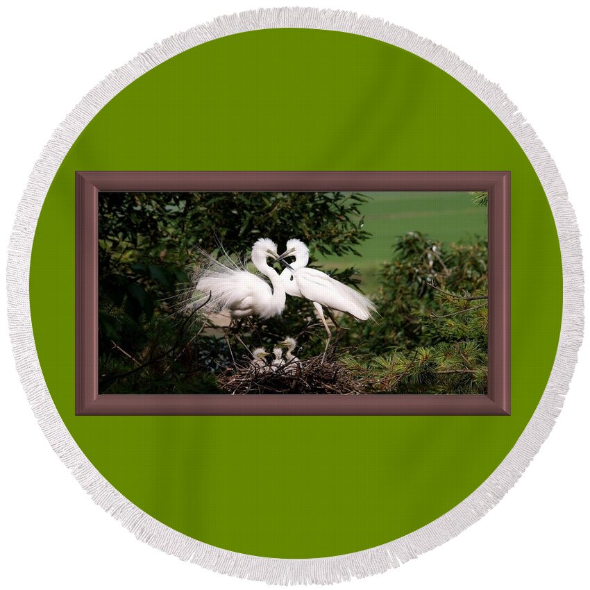 Egret Round Beach Towel featuring the photograph Egret Family by Nancy Ayanna Wyatt