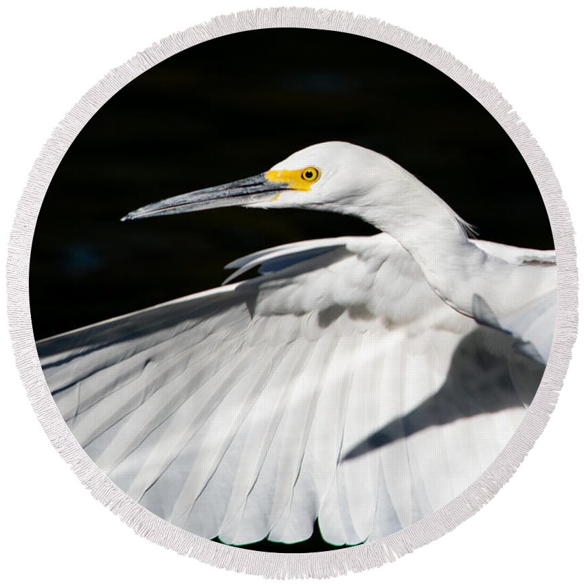 Egret Round Beach Towel featuring the photograph Egret in Flight by Bonny Puckett