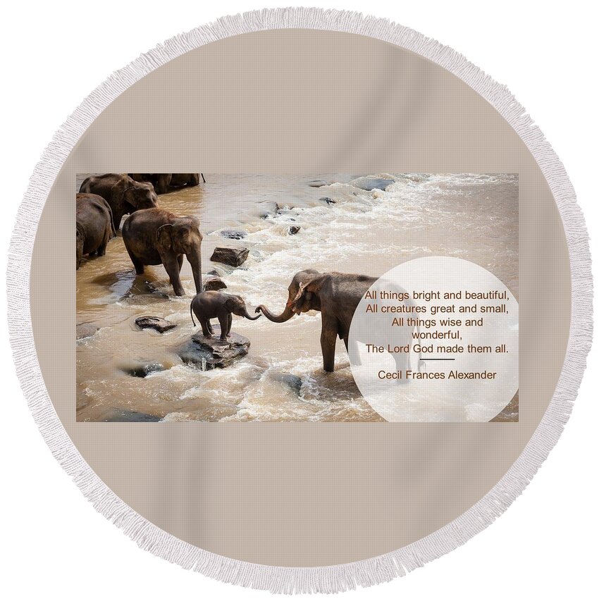 Elephants Round Beach Towel featuring the photograph Elephants All Creatures Great and Small by Nancy Ayanna Wyatt
