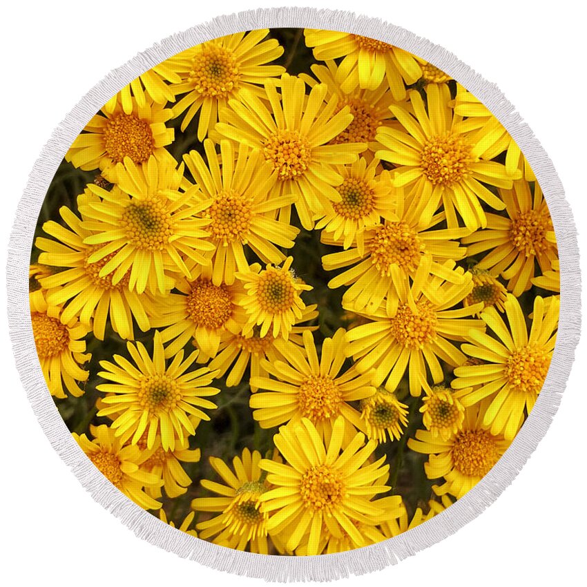 Flowers Round Beach Towel featuring the photograph Ellensburg Wildflowers by Jerry Abbott