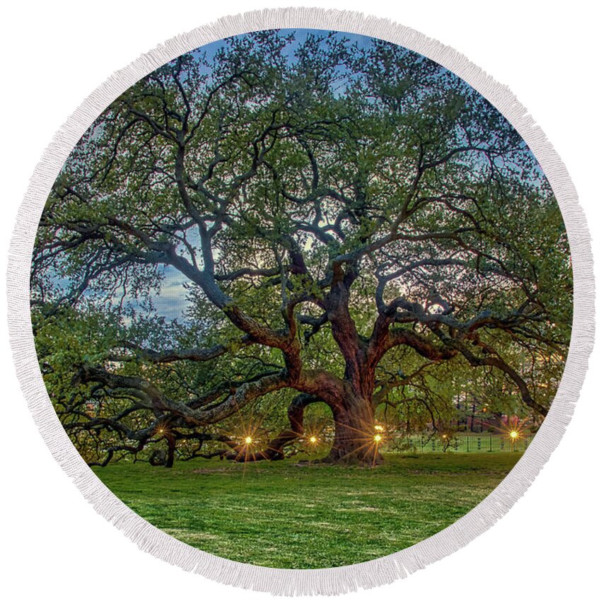Emancipation Oak Round Beach Towel featuring the photograph Emancipation Oak at Dusk by Jerry Gammon