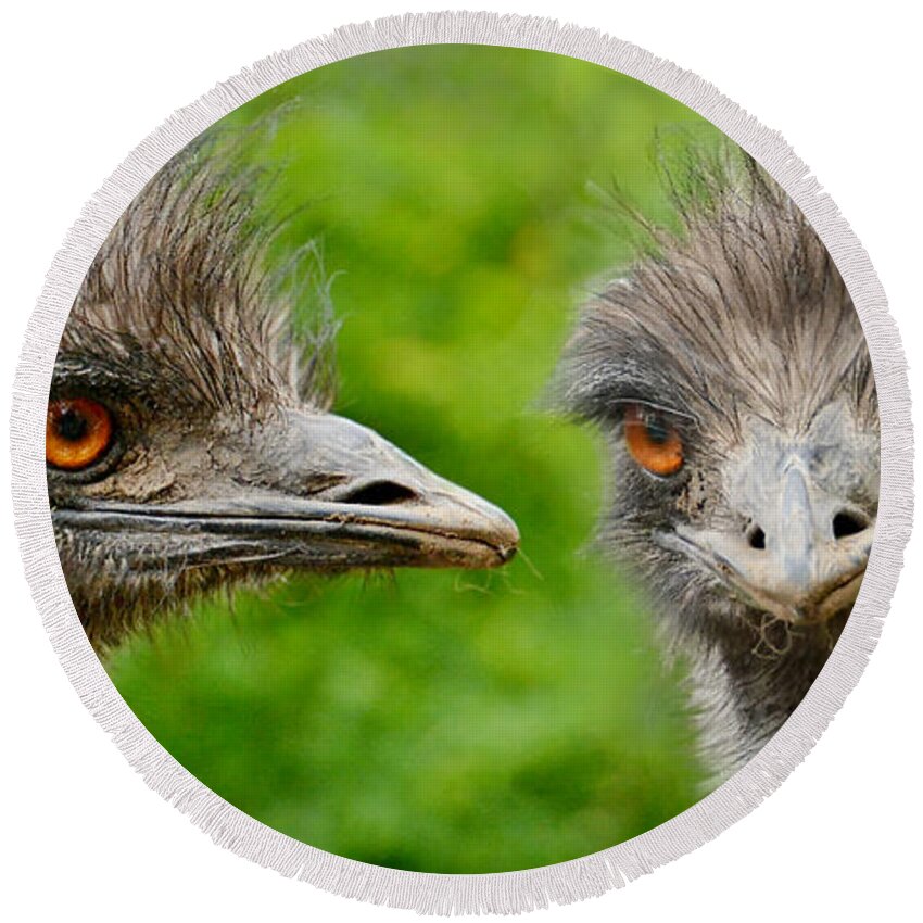 Emu Round Beach Towel featuring the photograph Emu Mugshot by Joe Bonita