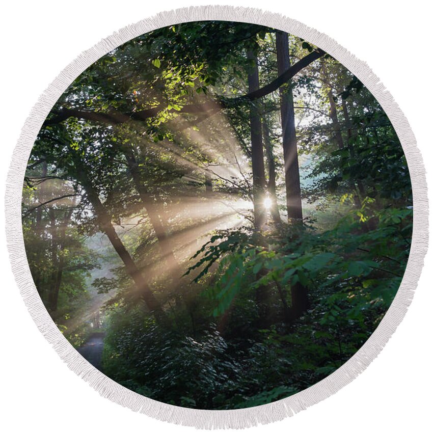 Magical Forest Round Beach Towel featuring the photograph Enchanting sunlight in the forest 1 by Adriana Mueller