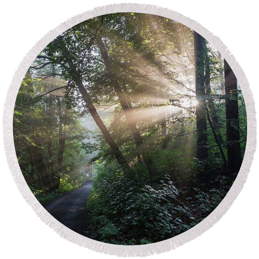 Magic Round Beach Towel featuring the photograph Enchanting sunlight in the forest 2 by Adriana Mueller