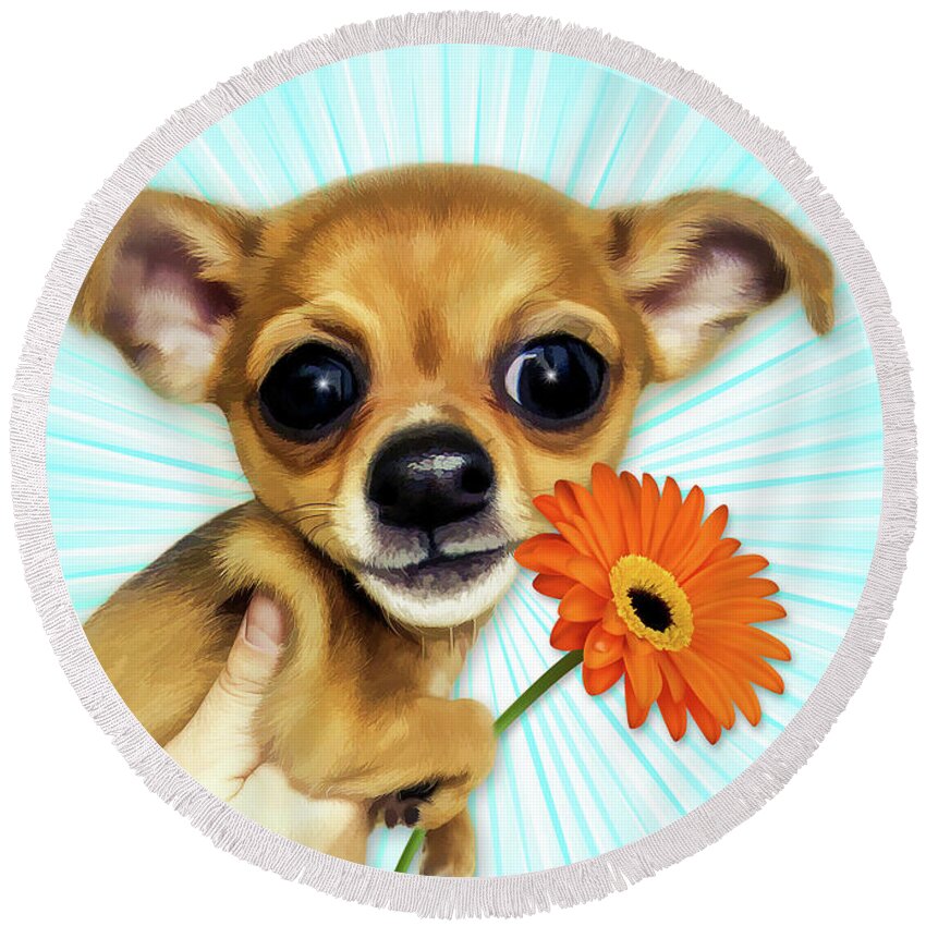 Encourage Round Beach Towel featuring the digital art Encouragement Cartoon Chihuahua Puppy by Doreen Erhardt