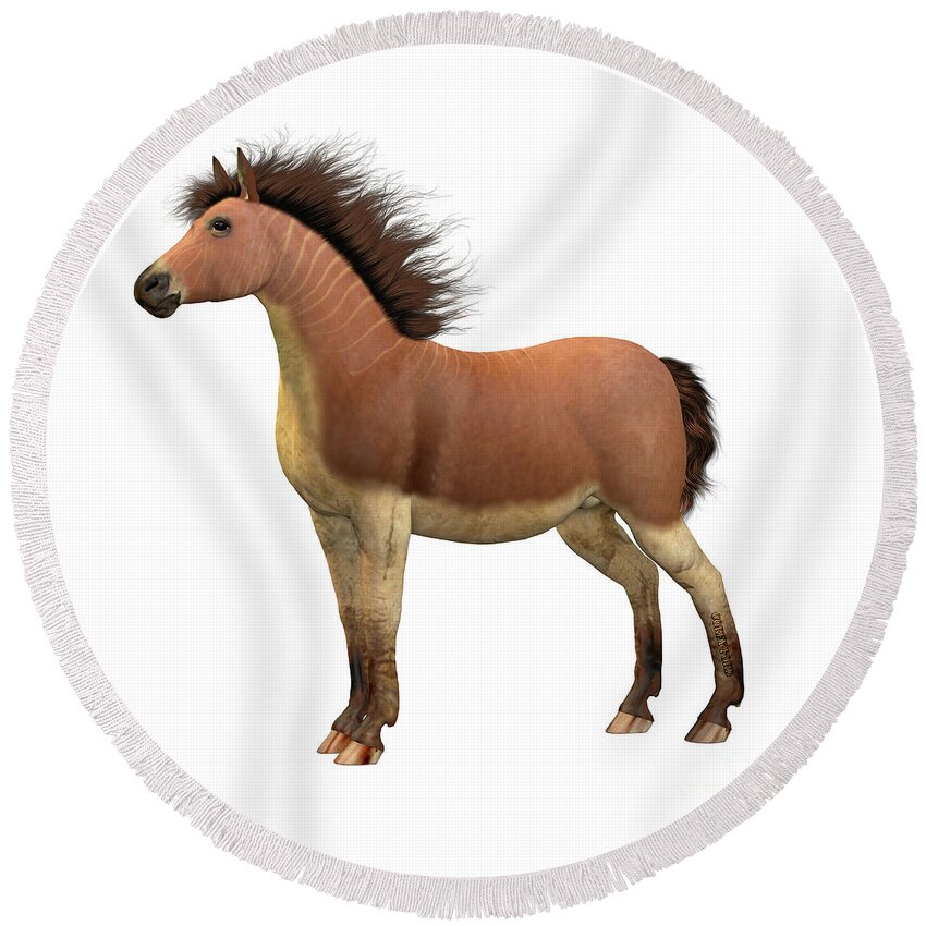 Equus Scotti Round Beach Towel featuring the digital art Equus Scotti Horse by Corey Ford