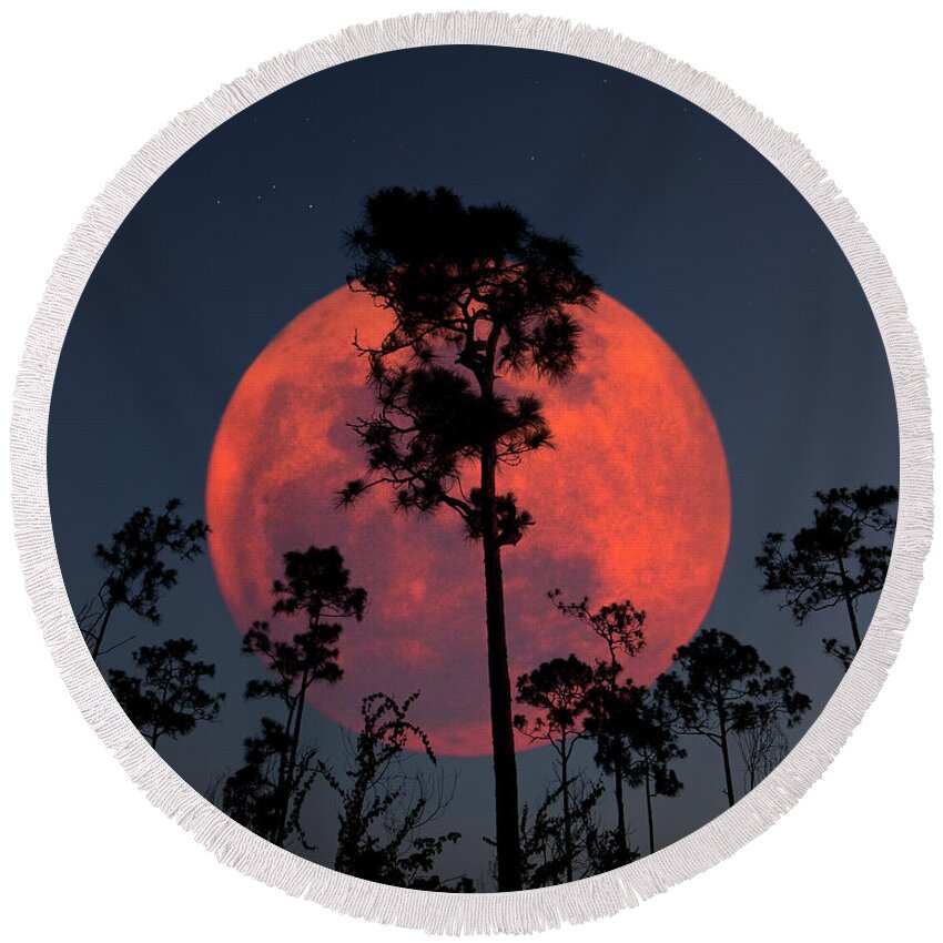 Moon Round Beach Towel featuring the photograph Everglades Planet by Mark Andrew Thomas
