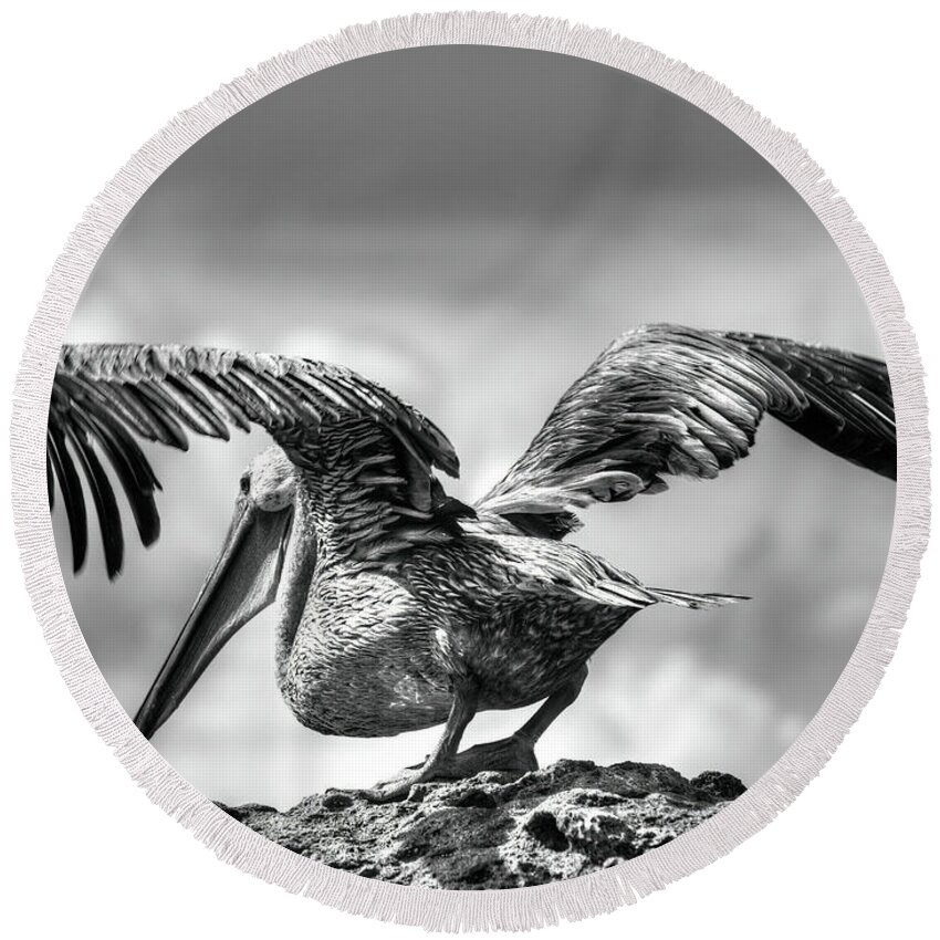 Black And White Round Beach Towel featuring the photograph Expecting to Fly by Joe Schofield