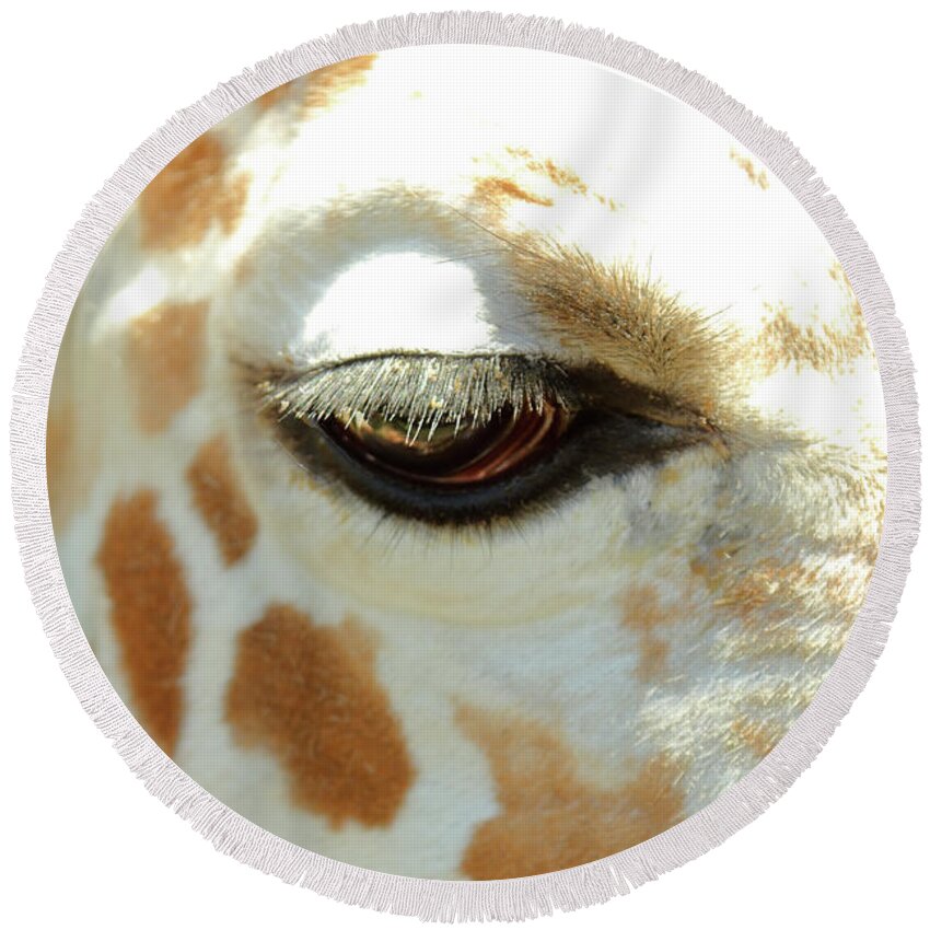 Animal Round Beach Towel featuring the photograph Eye Lashes by Lens Art Photography By Larry Trager