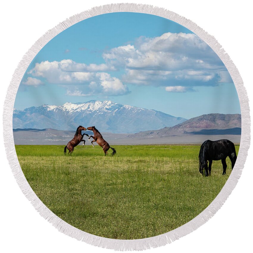  Round Beach Towel featuring the photograph Face Mask Grass Upright Fight by Dirk Johnson