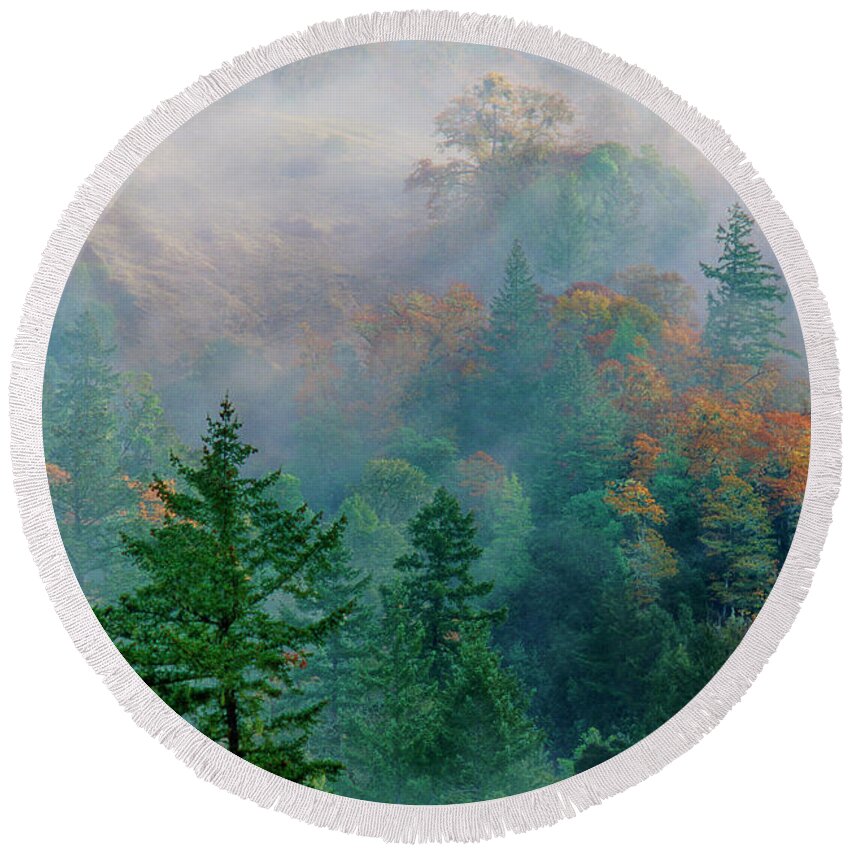 Dave Welling Round Beach Towel featuring the photograph Fall Color In Fog California by Dave Welling