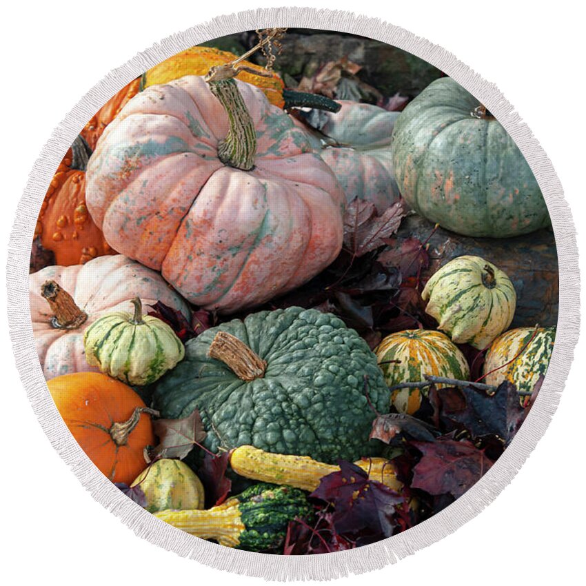 Jenny Rainbow Fine Art Photography Round Beach Towel featuring the photograph Fall Display with Colorful Ornamental Gourds And Pumpkins 1 by Jenny Rainbow