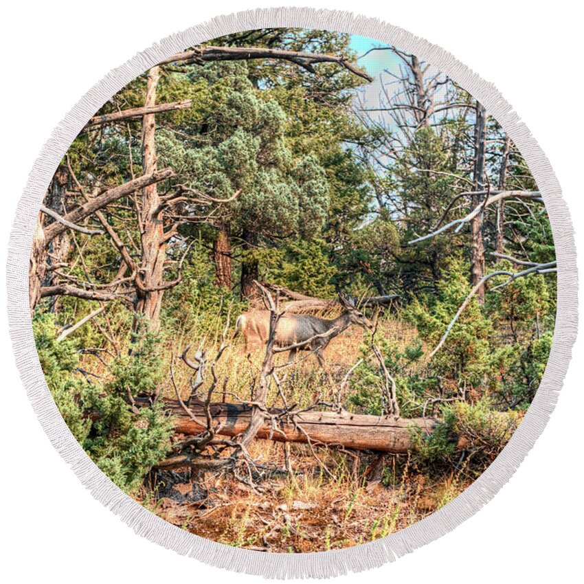 Photo Round Beach Towel featuring the photograph Fall in the Forest Deer by Greg Sigrist