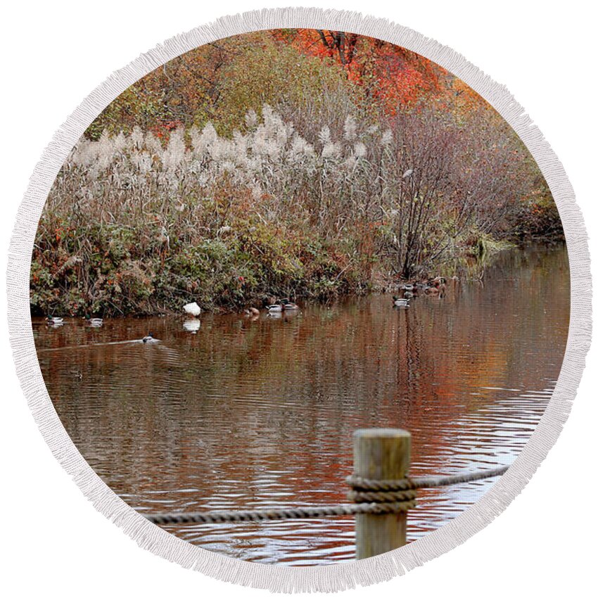 Fall Round Beach Towel featuring the photograph Fall in the park by Imagery-at- Work