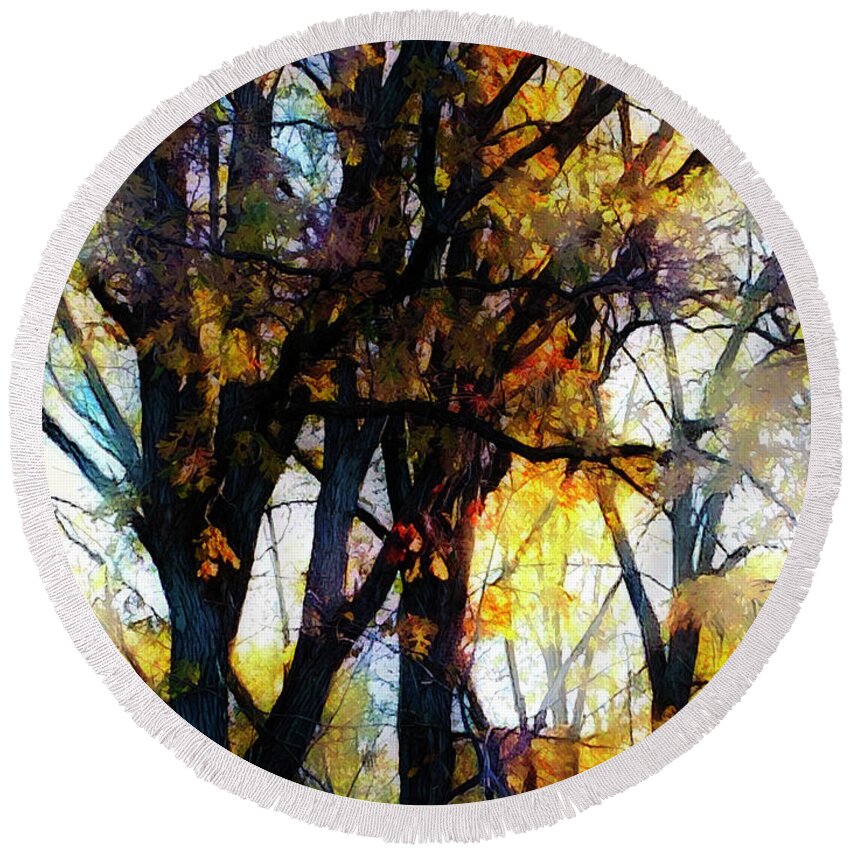 Woods Round Beach Towel featuring the photograph Fall trees by Tim Nyberg