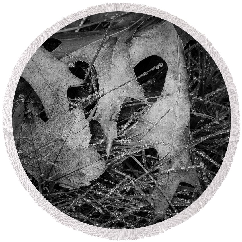 Black Round Beach Towel featuring the photograph Fallen Leaves and Dew Drops BW by David Gordon