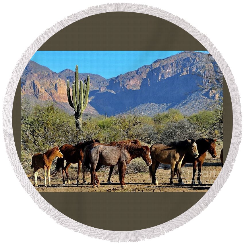 Salt River Wild Horse Round Beach Towel featuring the digital art Family by Tammy Keyes