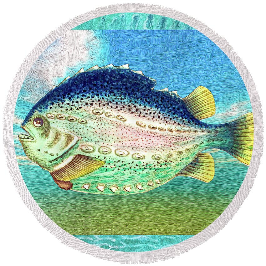 Cd Blue Fish Round Beach Towel featuring the mixed media Fancy Fish Portrait by Lorena Cassady