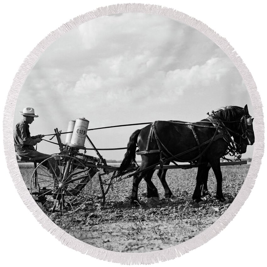 1 Person Round Beach Towel featuring the photograph Farmer Fertilizing Corn by Underwood Archives  Arthur Rothstein