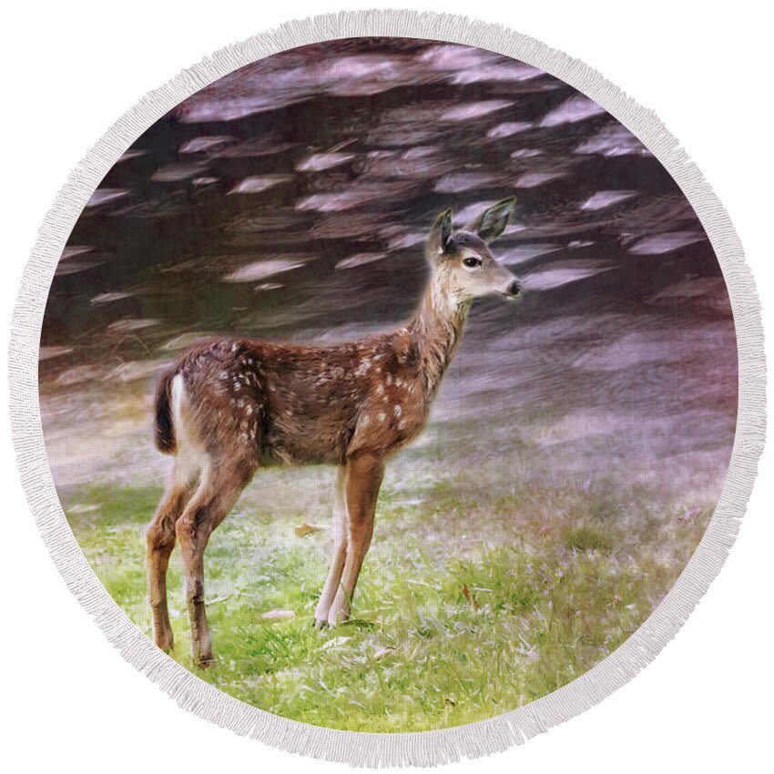 Fawn Round Beach Towel featuring the photograph Fawn on the McKenzie, No. 6 by Belinda Greb