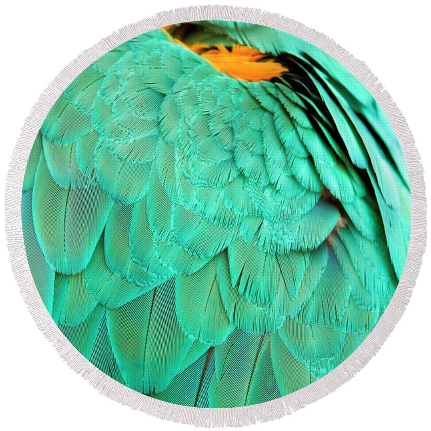 Feather Round Beach Towel featuring the photograph Feathers by Anna Kluba
