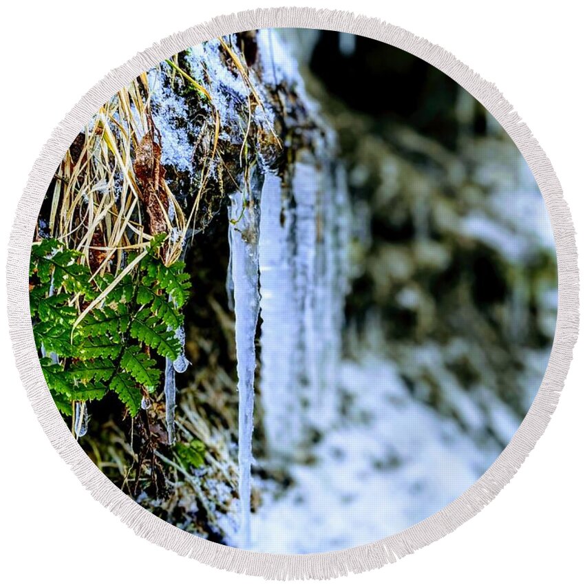  Round Beach Towel featuring the photograph Fern and Icicles by Brad Nellis