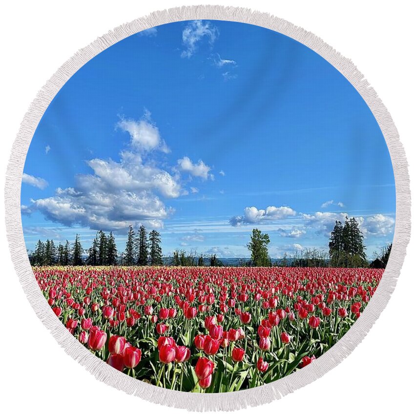 Tulips Round Beach Towel featuring the photograph Field of Red by Brian Eberly