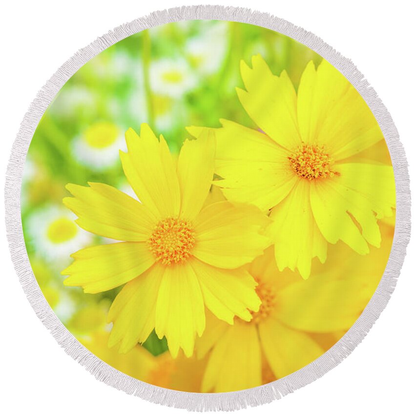 Flowers Round Beach Towel featuring the photograph Field Of Spring Flowers by Jordan Hill