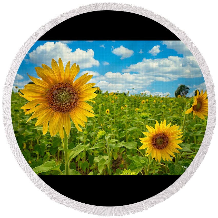 Flowers Round Beach Towel featuring the photograph Field of Sunshine by Peg Runyan