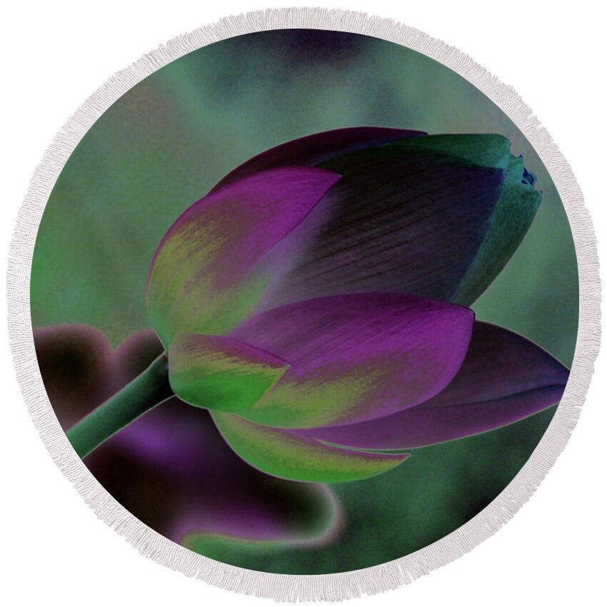 Flower Round Beach Towel featuring the photograph Filtered Lotus 1268 by Carolyn Stagger Cokley