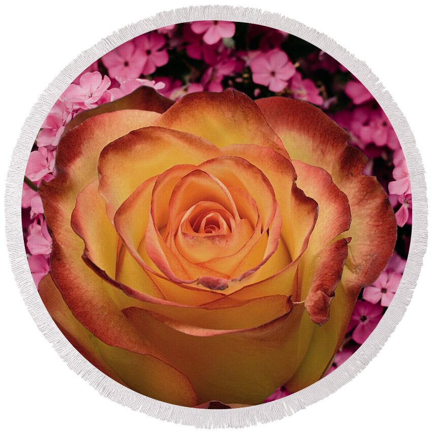 A Yellow Rose Round Beach Towel featuring the digital art Floral-D by Hank Gray