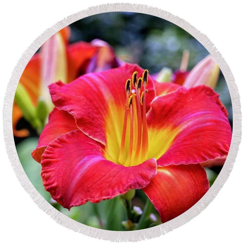 Flower Round Beach Towel featuring the photograph Floral majesty by A New Focus Photography