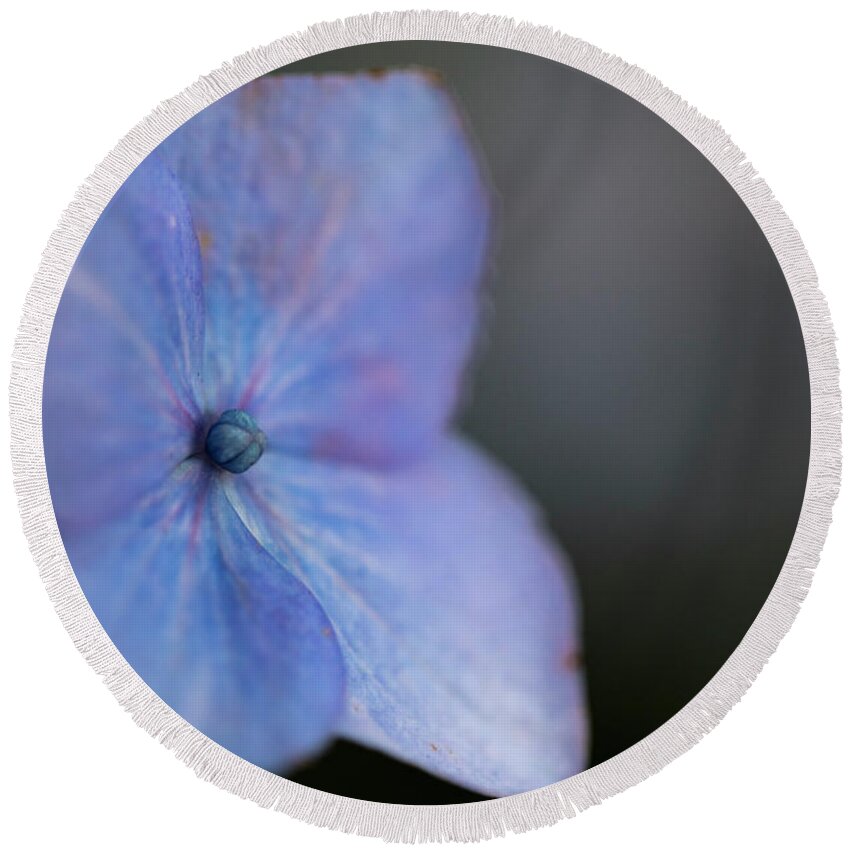 Nyc Round Beach Towel featuring the photograph Flowers of NYC - Blue Lacecap Hydrangea by Marlo Horne