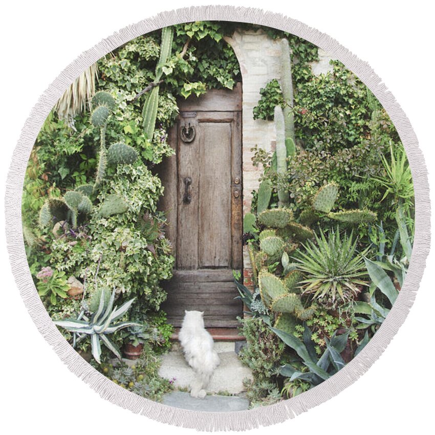 Cat Round Beach Towel featuring the photograph Fluffy and Spiky Cat and Door by Louise Tanguay