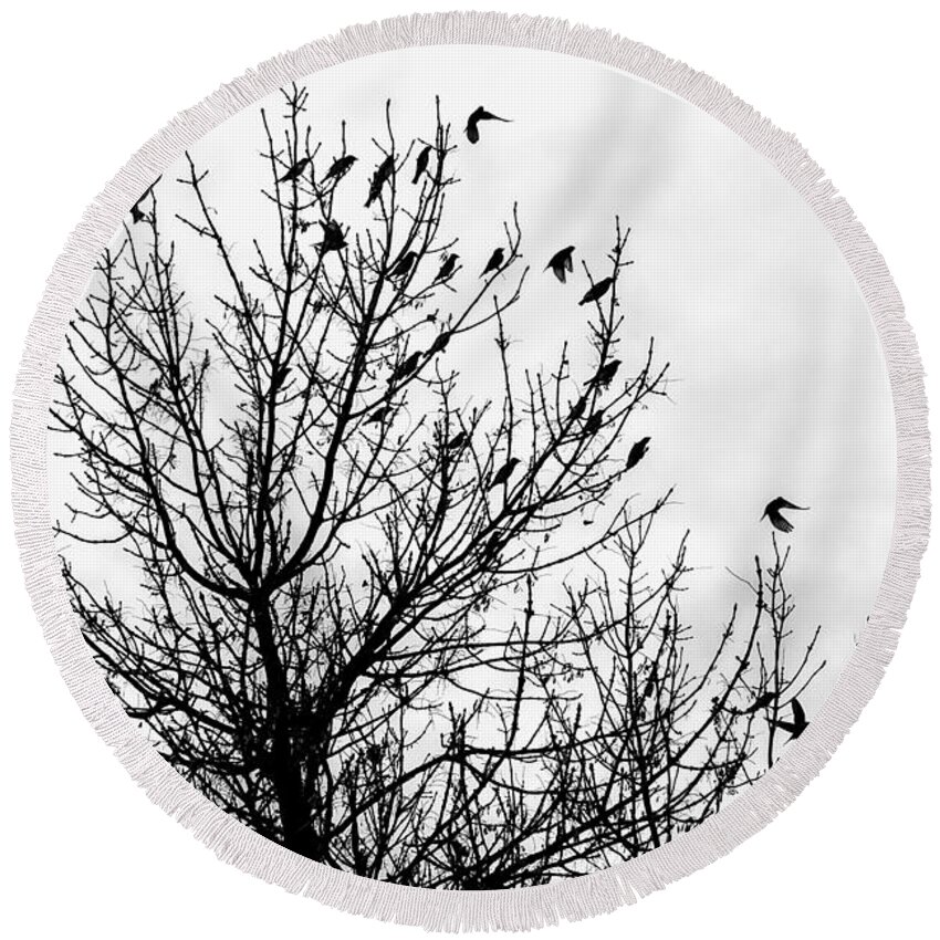 Birds Round Beach Towel featuring the photograph Fly Away Birds by Amanda R Wright