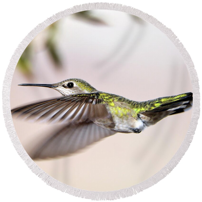 Denise Bruchman Photography Round Beach Towel featuring the photograph Flying Anna's Hummingbird by Denise Bruchman