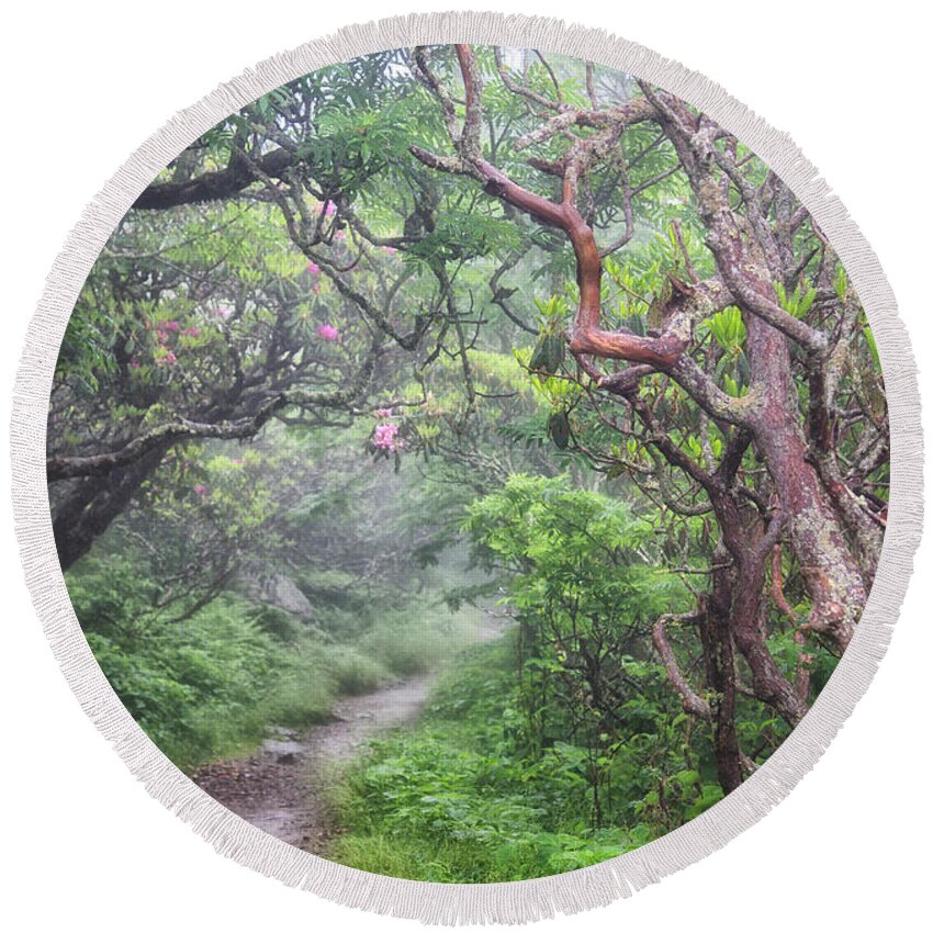 Craggy Gardens Round Beach Towel featuring the photograph Forest Fantasy by Blaine Owens