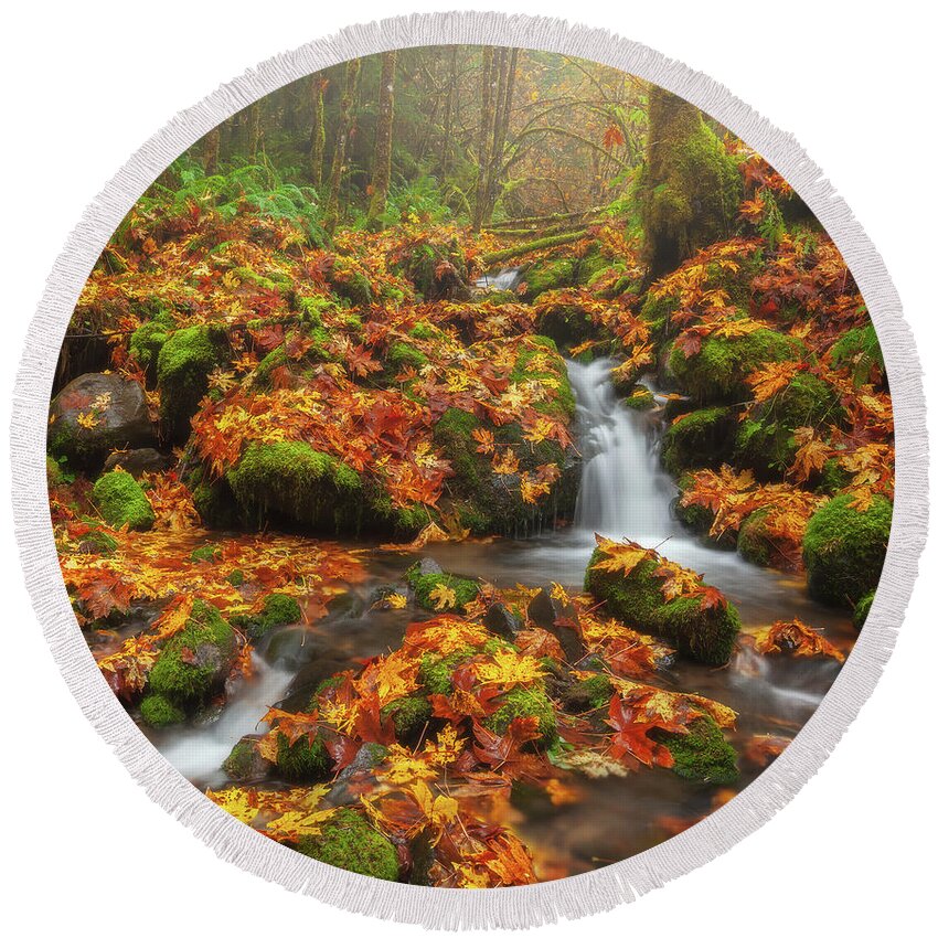 Oregon Round Beach Towel featuring the photograph Forest in the Fog by Darren White