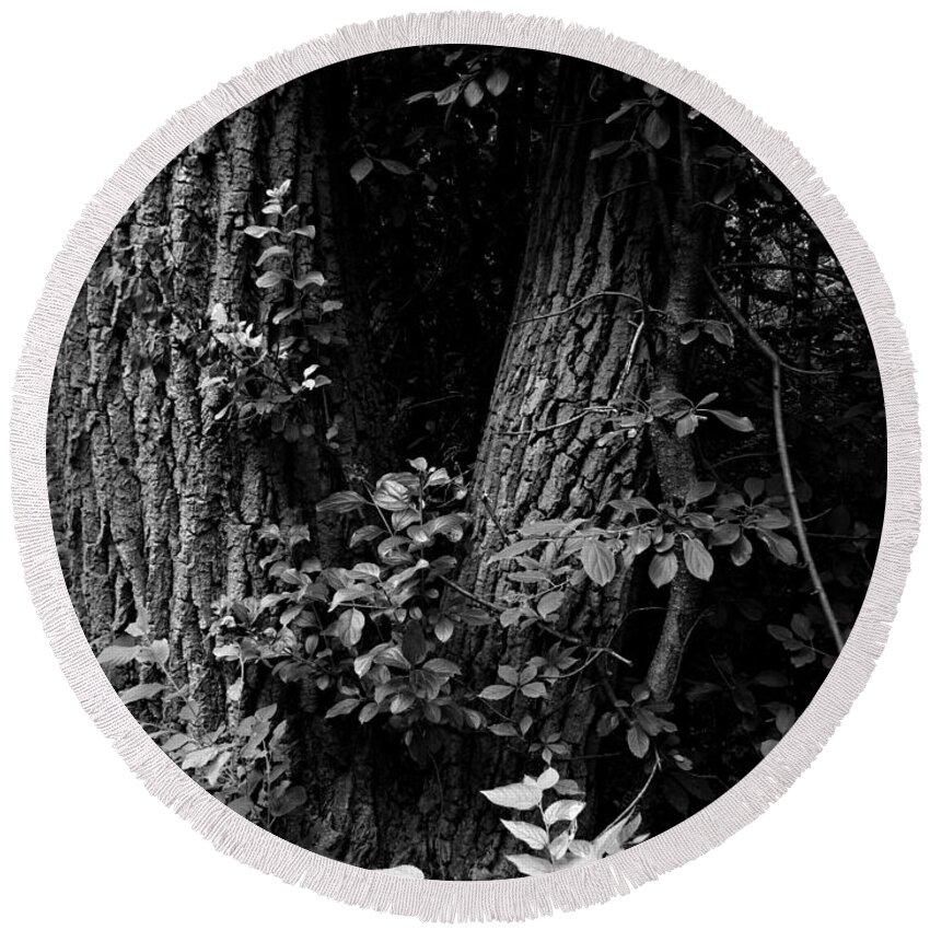 Monochrome Round Beach Towel featuring the photograph Forest Wood - Monochrome - Frank J Casella by Frank J Casella