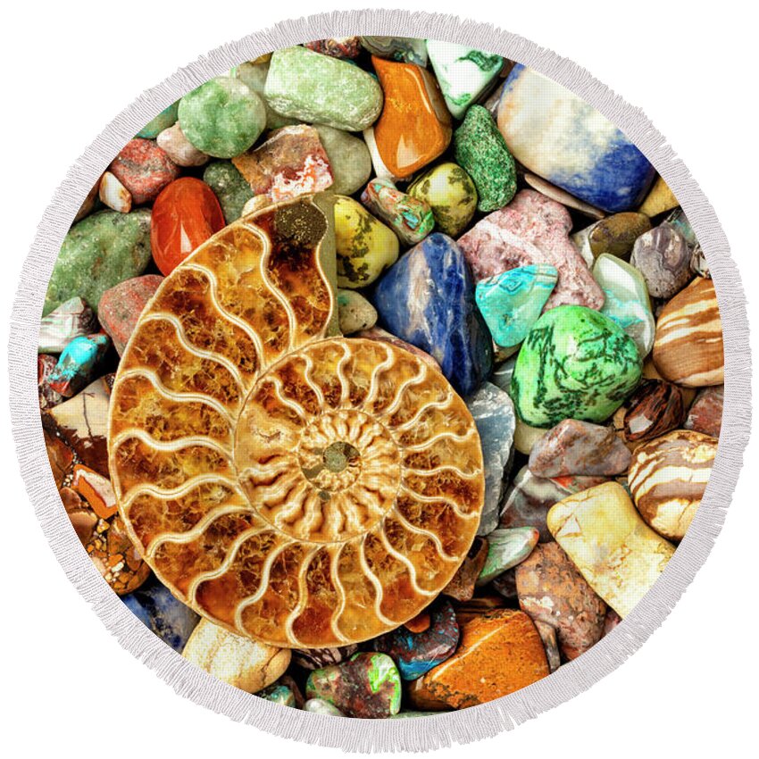 Stones Round Beach Towel featuring the photograph Fossilized Nautilus Shell On Polished Stones by Garry Gay