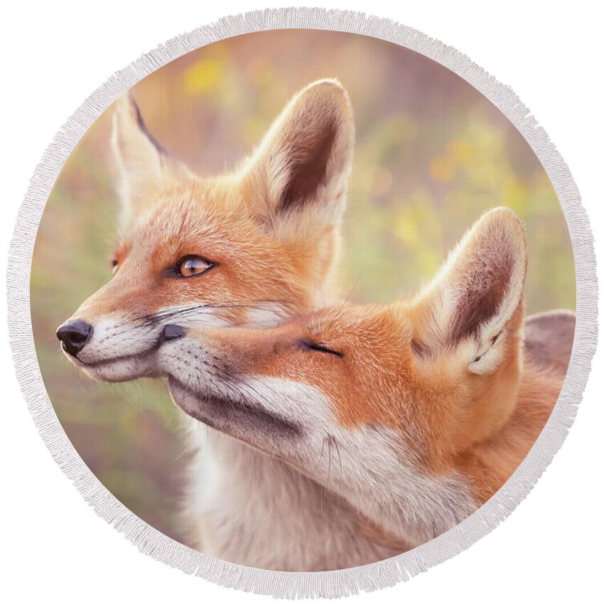 Love Round Beach Towel featuring the photograph Fox Love Series - / Unconditionally by Roeselien Raimond