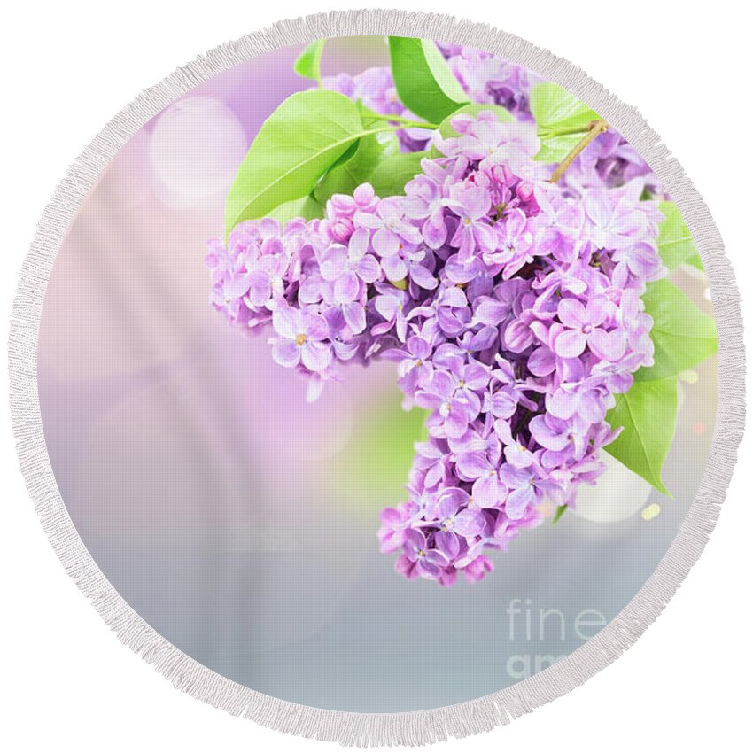 Lilac Round Beach Towel featuring the photograph Fragile Lilac by Anastasy Yarmolovich