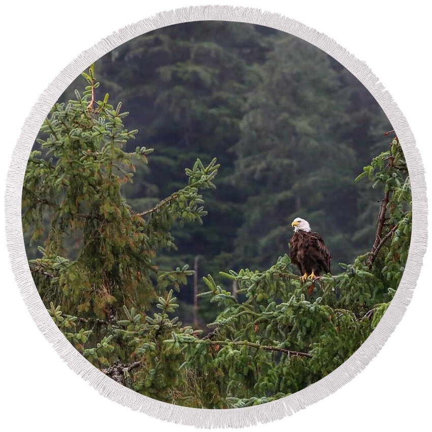 Bald Eagle Round Beach Towel featuring the photograph Freedom by Kevin Craft