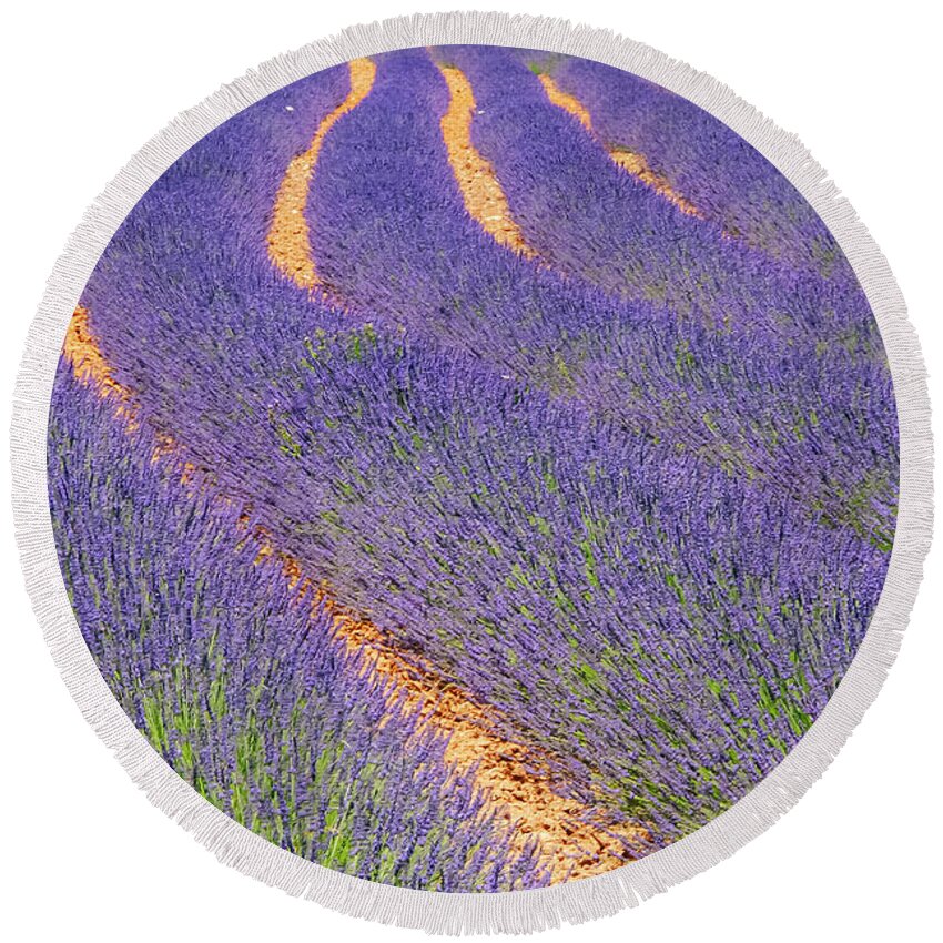 Provence Round Beach Towel featuring the photograph French Lavender Rows in Provence One by Bob Phillips